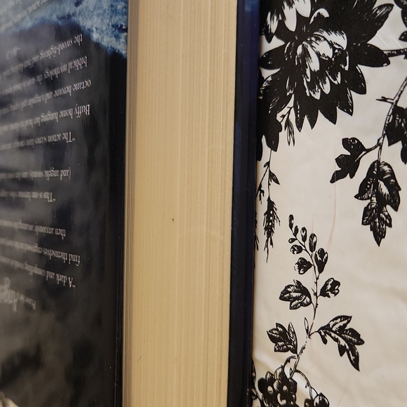 Wings of the Wicked book n9 - Picture 5 of 8